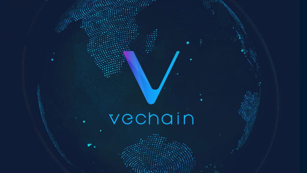 VeChain: VeWorld Wallet Nasıl İndirilir?