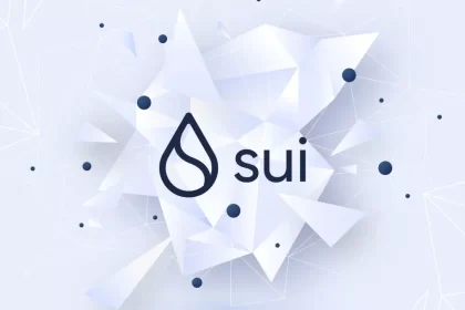 SUI Blockchain Kesintiyle Gündemde!