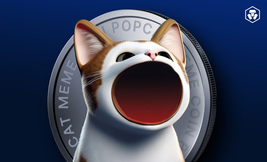 Popcat (POPCAT) Yükseliş Öncesi Kritik Destek Seviyeleri!