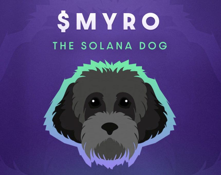 Myro (MYRO) Teknik Analizi: Kritik Direnç ve Destek Seviyeleri!